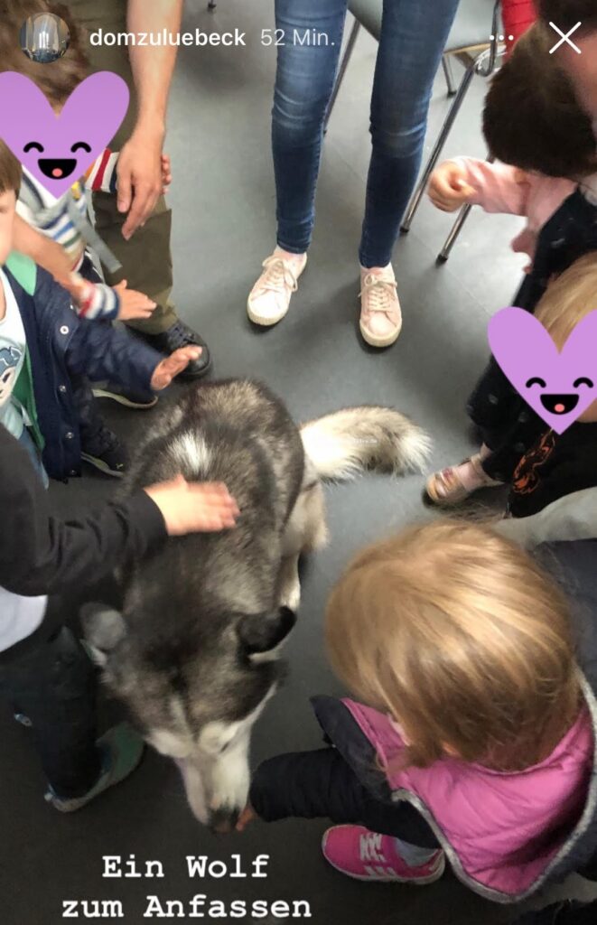 Peter und der Wolf Lübeck